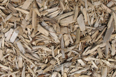 biomass boilers Etruria
